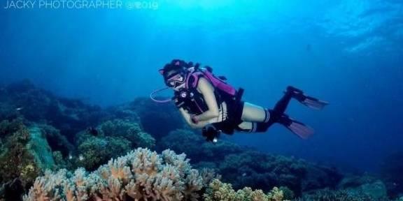 周生如故番外,周生辰爱得深沉浓烈,他才是真正腹黑隐忍的王